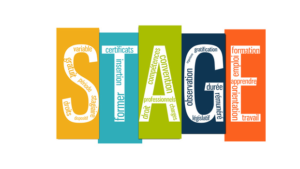 articlestage3eme-300x169