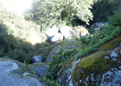 DSC03701-400x284