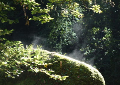 DSC03707-400x284