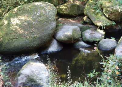 DSC03728-400x284