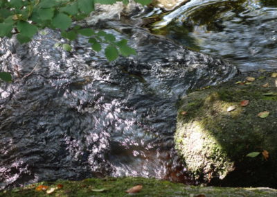 DSC03729-400x284