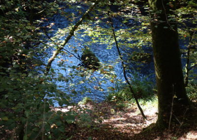 DSC03748-400x284