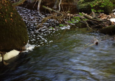 DSC03750-400x284