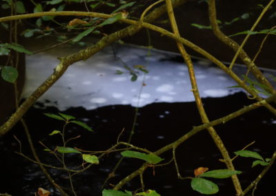 DSC03751-400x284