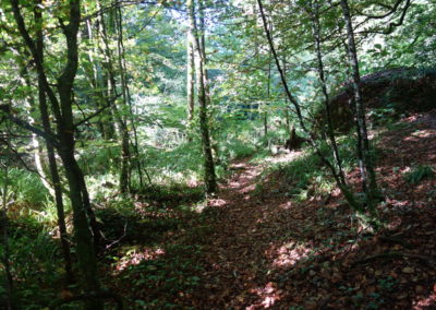 DSC03755-400x284