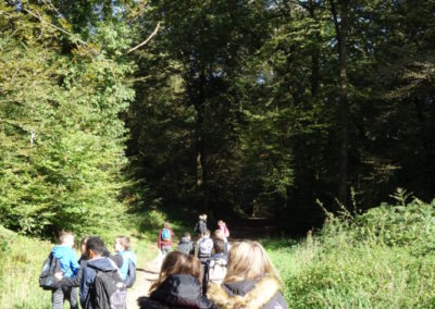 DSC03763-400x284
