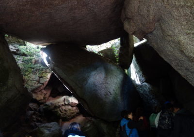 DSC03767-400x284