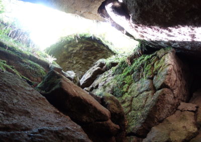 DSC03775-400x284