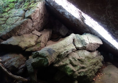 DSC03776-400x284