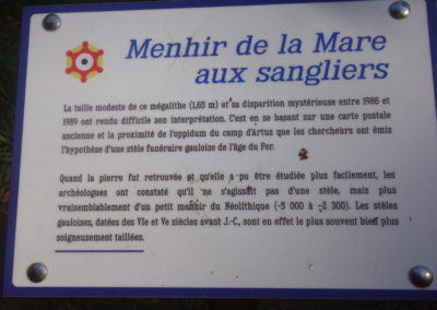 DSC03779-400x284