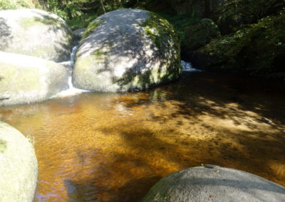 DSC03783-400x284
