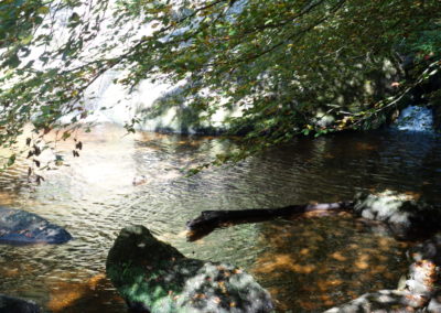 DSC03787-400x284