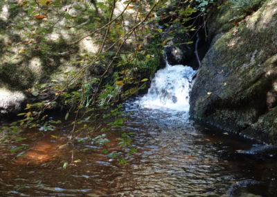DSC03790-400x284