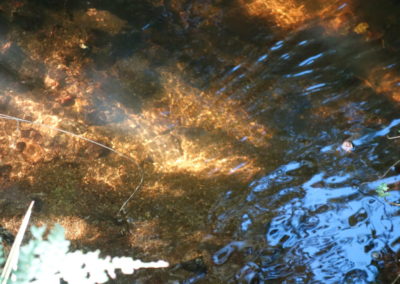 DSC03791-400x284