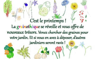 reouverture_grainotheque-400x250