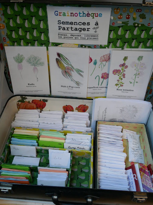 Réouverture de la grainothèque avec le printemps