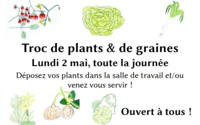 troc_plants_graines-400x250