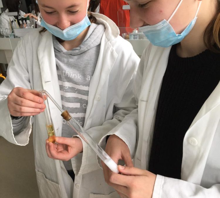 Cordées de la réussite: à la découverte des TP de Physique-chimie au lycée