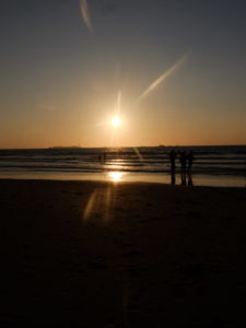 DSCF8821-225x300
