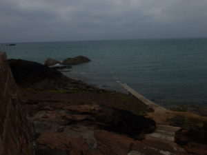 DSCF8920-300x225